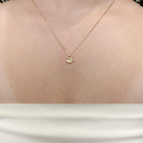 Colar Espirito Santo Banhado em Ouro 18k