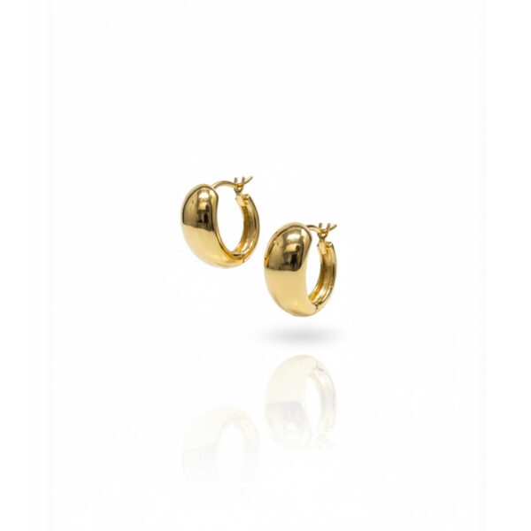 Brinco Argola Gota Banhado em Ouro 18k